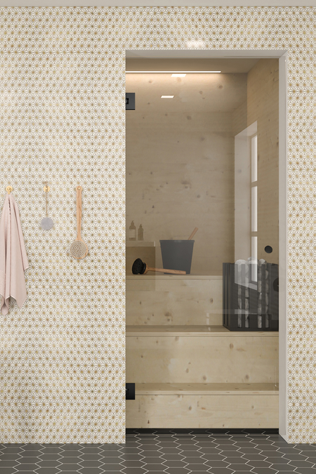 Sauna glass door Classic C61 Special Batch